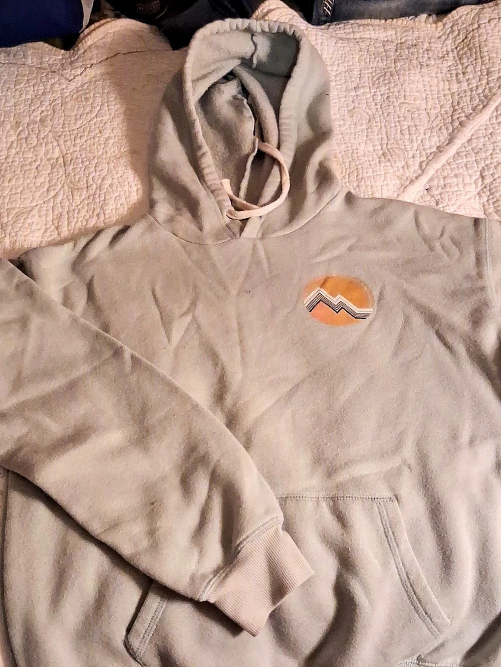 Patagonia Gray Hoodie Size Medium